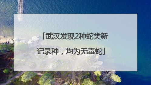 武汉发现2种蛇类新记录种，均为无毒蛇
