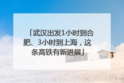 武汉出发1小时到合肥、3小时到上海，这条高铁有新进展