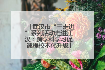 武汉市“三走进”系列活动走进江汉：跨学科学习促课程校本化升级