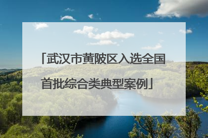 武汉市黄陂区入选全国首批综合类典型案例