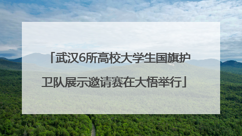武汉6所高校大学生国旗护卫队展示邀请赛在大悟举行