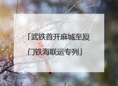 武铁首开麻城至厦门铁海联运专列