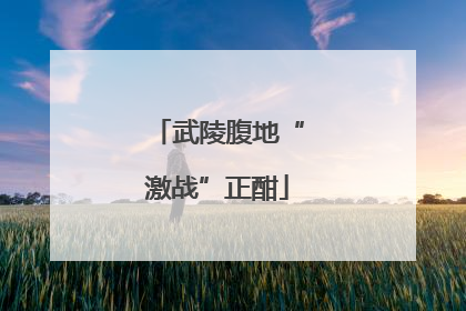 武陵腹地“激战”正酣