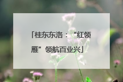 桂东东洛：“红领雁”领航百业兴