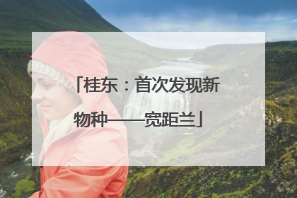 桂东：首次发现新物种——宽距兰