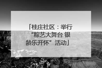 桂庄社区：举行“粽艺大舞台 银龄乐开怀”活动