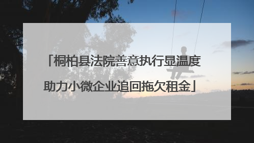桐柏县法院善意执行显温度 助力小微企业追回拖欠租金