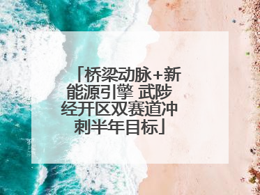 桥梁动脉+新能源引擎 武陟经开区双赛道冲刺半年目标