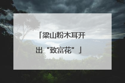 梁山粉木耳开出“致富花”
