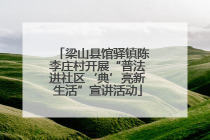 梁山县馆驿镇陈李庄村开展“普法进社区‘典’亮新生活”宣讲活动