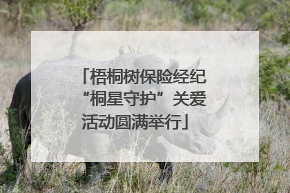 梧桐树保险经纪“桐星守护”关爱活动圆满举行