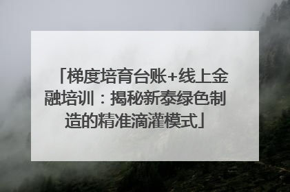 梯度培育台账+线上金融培训：揭秘新泰绿色制造的精准滴灌模式