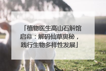 植物医生高山石斛馆启幕：解码仙草奥秘，践行生物多样性发展