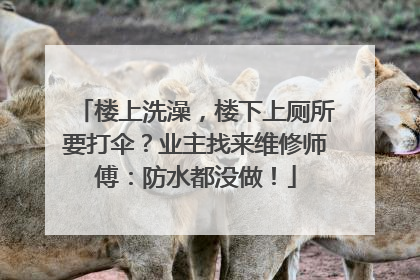 楼上洗澡，楼下上厕所要打伞？业主找来维修师傅：防水都没做！
