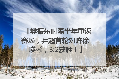 樊振东时隔半年重返赛场，乒超首轮对阵徐瑛彬，3:2获胜！
