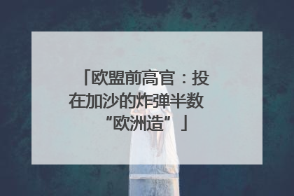 欧盟前高官：投在加沙的炸弹半数“欧洲造”