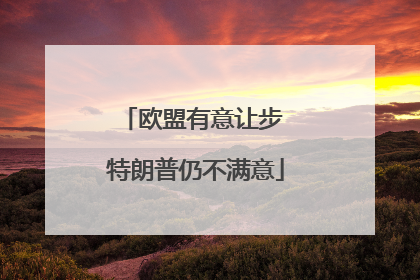 欧盟有意让步 特朗普仍不满意