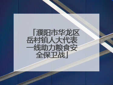 濮阳市华龙区岳村镇人大代表一线助力粮食安全保卫战