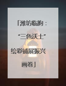 潍坊临朐：“三色沃土”绘彩铺展振兴画卷