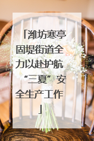 潍坊寒亭固堤街道全力以赴护航“三夏”安全生产工作