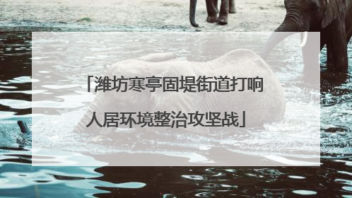 潍坊寒亭固堤街道打响人居环境整治攻坚战