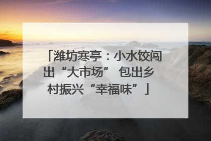 潍坊寒亭：小水饺闯出“大市场” 包出乡村振兴“幸福味”