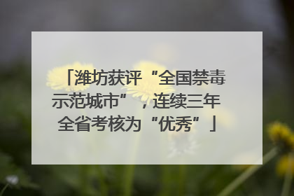 潍坊获评“全国禁毒示范城市”，连续三年全省考核为“优秀”