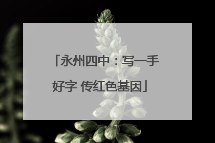 永州四中：写一手好字 传红色基因