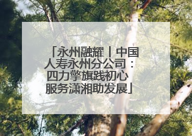 永州融耀丨中国人寿永州分公司：四力擎旗践初心 服务潇湘助发展