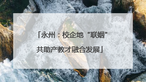 永州：校企地“联姻” 共助产教才融合发展