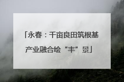 永春：千亩良田筑根基 产业融合绘“丰”景