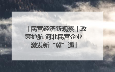 民营经济新观察｜政策护航 河北民营企业激发新“冀”遇
