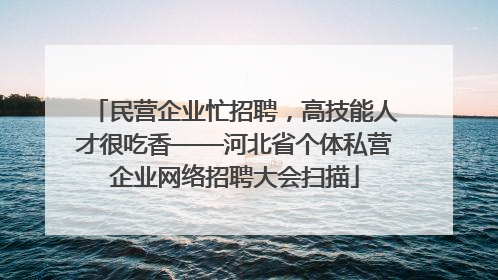 民营企业忙招聘，高技能人才很吃香——河北省个体私营企业网络招聘大会扫描