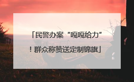 民警办案“嘎嘎给力”！群众称赞送定制锦旗