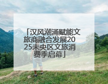 汉风潮涌赋能文旅商融合发展2025未央区文旅消费季启幕