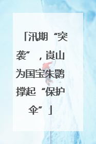 汛期“突袭”，崀山为国宝朱鹮撑起“保护伞”