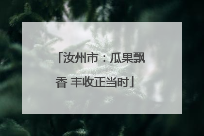 汝州市：瓜果飘香 丰收正当时