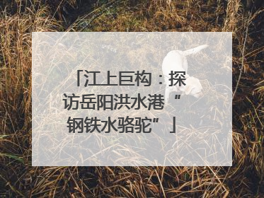 江上巨构：探访岳阳洪水港“钢铁水骆驼”