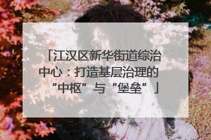 江汉区新华街道综治中心：打造基层治理的“中枢”与“堡垒”
