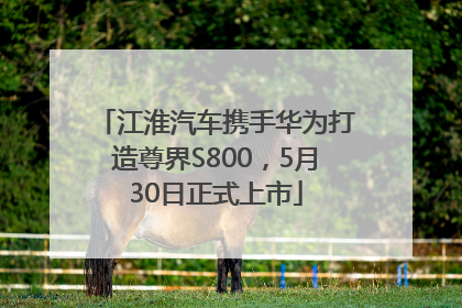 江淮汽车携手华为打造尊界S800，5月30日正式上市