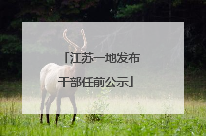 江苏一地发布干部任前公示