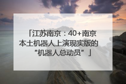 江苏南京：40+南京本土机器人上演现实版的“机器人总动员”