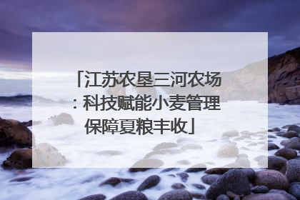 江苏农垦三河农场：科技赋能小麦管理保障夏粮丰收