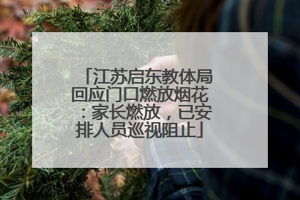 江苏启东教体局回应门口燃放烟花：家长燃放，已安排人员巡视阻止