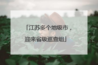 江苏多个地级市，迎来省级巡查组