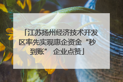 江苏扬州经济技术开发区率先实现惠企资金“秒到账” 企业点赞