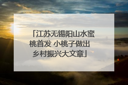 江苏无锡阳山水蜜桃首发 小桃子做出乡村振兴大文章