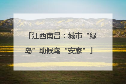 江西南昌：城市“绿岛”助候鸟“安家”
