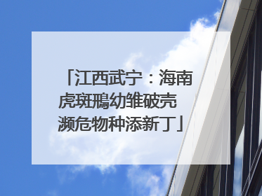 江西武宁：海南虎斑鳽幼雏破壳 濒危物种添新丁