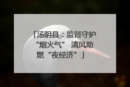 汤阴县：监督守护“烟火气” 清风助燃“夜经济”